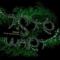 Tstewart - Living Exponentially