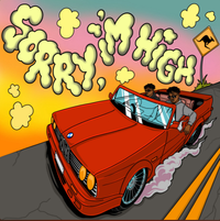 Shadow - Sorry I'm High