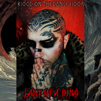 Blood On The Dance Floor - Last of a Kind
