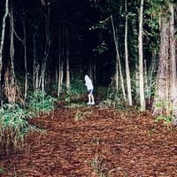 Cacoethes - Prelude / postlude