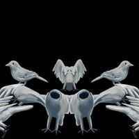 Mouchestar - Ballads of Grand Illusion