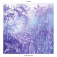 Polynation - Wildeburg / Coral