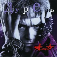 Алиса - Дурень