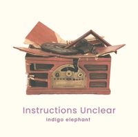 Indigo Elephant - Instructions Unclear