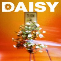 MIRANI - Daisy