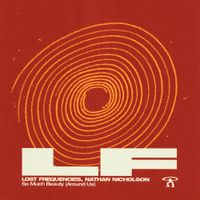 Lost Frequencies - So Much Beauty (Around Us)