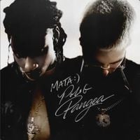 Mata - PANGEA