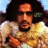 Caetano Veloso - Caetano Veloso (A Little More Blue)