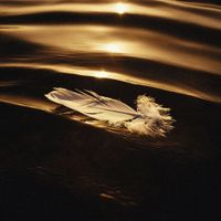 Said The Sky - Icarus & I