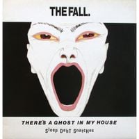 The Fall - There's a Ghost in My House