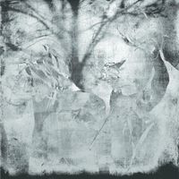 ZATO - BROKEN FACES