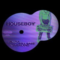 Aluna - Houseboy