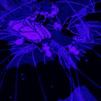nolife - A Requiem