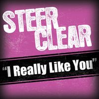 Steer Clear - I Really Like You