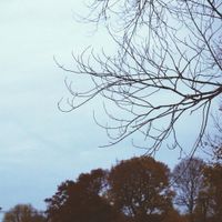 Sinerider - Autumn Hiss