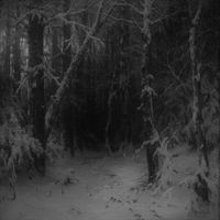 Hiemal - Wanderings Within Forests of Despondency
