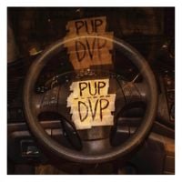 PUP - DVP