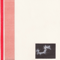 minifauna - msss24