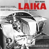 DogFace - Laika