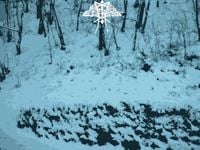 Hiemal - Demo I