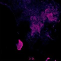 Bleedlivin - EVERYTHINGBUTNOTHING