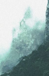 Viridian Remembrance Youth - Sunbeam Shows in the Lichen Shrine with Faltering Vines and Shimmering Fog