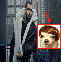 TwerkNation28 - #TWERK NATION #POP(STYLE)THATASS #ILOVEBRAKE #6GOD (2011)