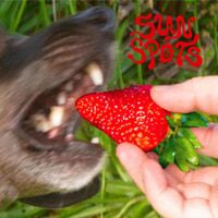 Sun Spots - Dog is Calling