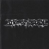 Destination Bloodline - Destination Bloodline