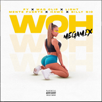 Light - Woh(Megamix)