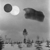 Old Amica - Taiga