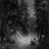 Hiemal - Wanderings Within Forests of Despondency II