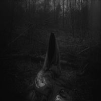 Hiemal - Solivagant Ghost of Cimmerian Woods