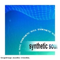 Bupin - synthetic soul