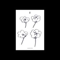 Lawrence - Poppies