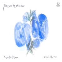 Maya Belsitzman - Pauses In Shades