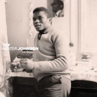 Sly Johnson - Mister Johnson
