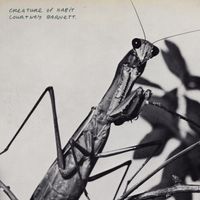 Courtney Barnett - One Thing At A Time