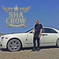 Sha Crow - TOO YOUNG