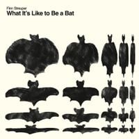 Finn Streuper - What It's Like to Be a Bat