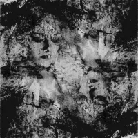 d0llywood1 - Crytoher