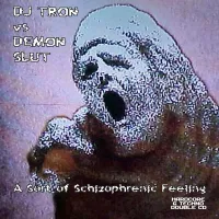 DJ Tron - A Sort of Schizophrenic Feeling