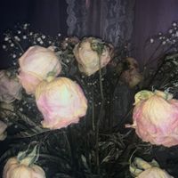 E_DEATH - OVERDOSE
