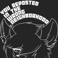 SHOKK 青 - You Reposted in the Wrong Neighborhood