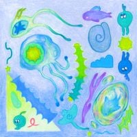 galen tipton - tide pool bath