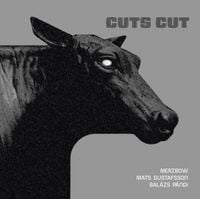 Merzbow - CUTS CUT