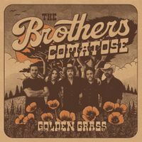 The Brothers Comatose - Golden Grass