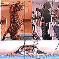 RogueXP - KRU$hER