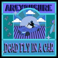 AREYOUSURE - Dead Flowers // Explosive Personality