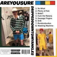 AREYOUSURE - Drippeddowntomyankles